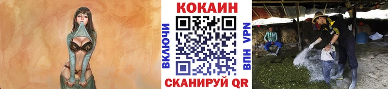 Наркошоп купить КОКАИН  АМФ  ГАШ  Кетамин  МЕФ  Бошки Шишки  Мураши