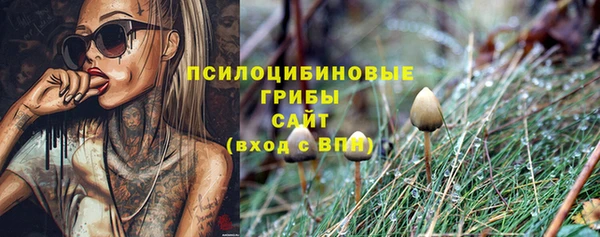 2c-b Зерноград