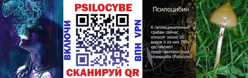 Псилоцибиновые грибы Psilocybine cubensis  Купить  Мураши 